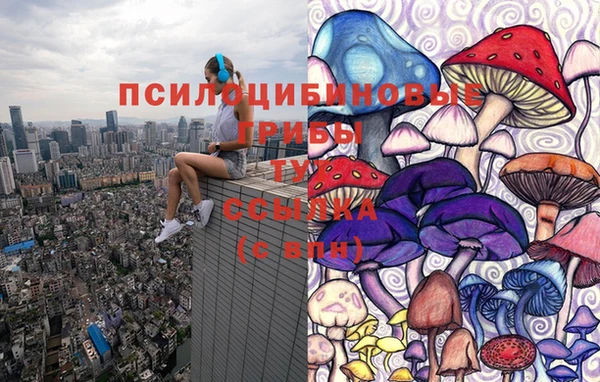 мет Коряжма