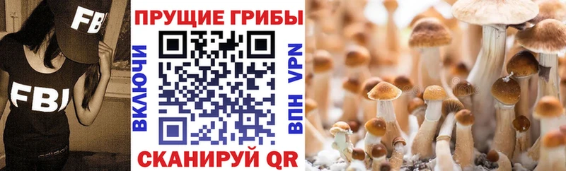 Купить где  Великие Луки  Галлюциногенные грибы мухоморы 